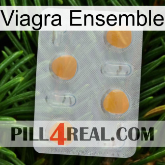 Viagra Set 24